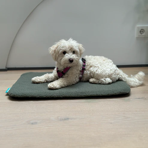 Manuly selbstaufblasende Hundematte Teddyplüsch oliv