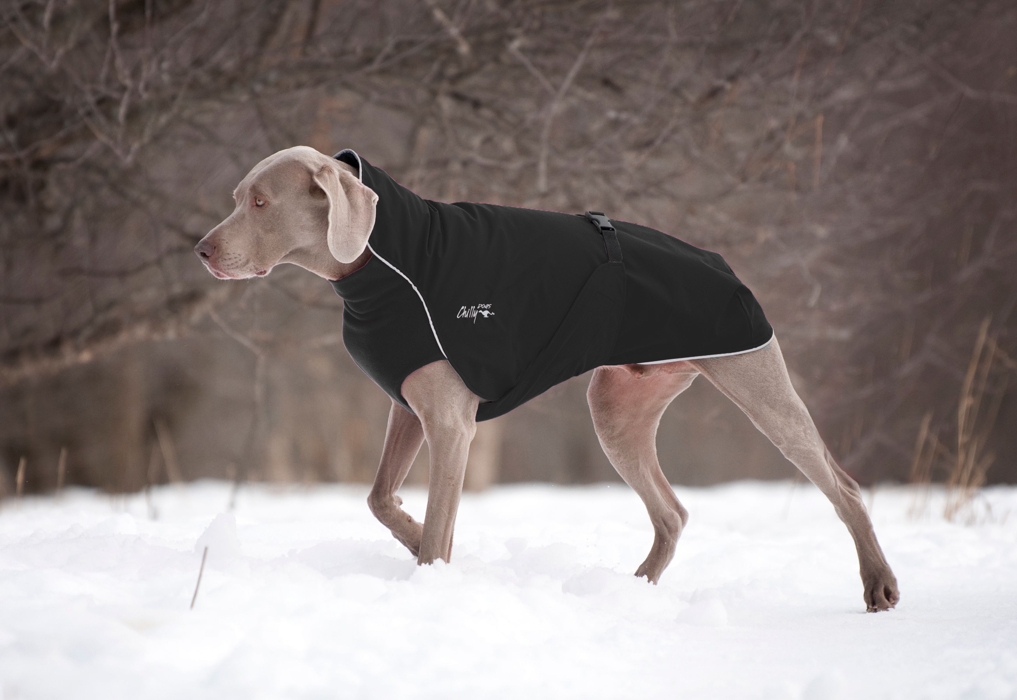 Chilly Dogs Harbour Slicker STANDARD