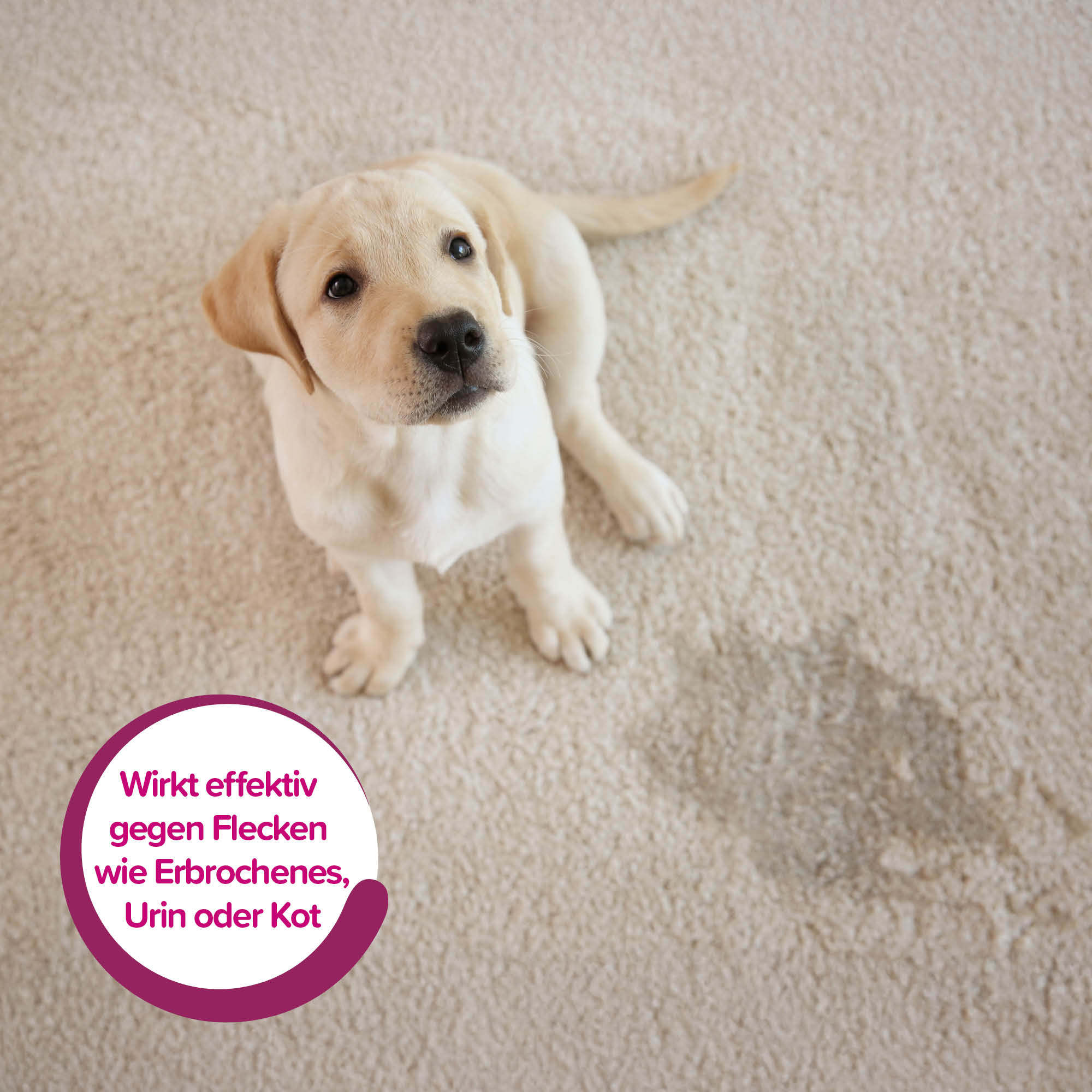 Beaphar Geruchs- & Fleckentferner 750ml