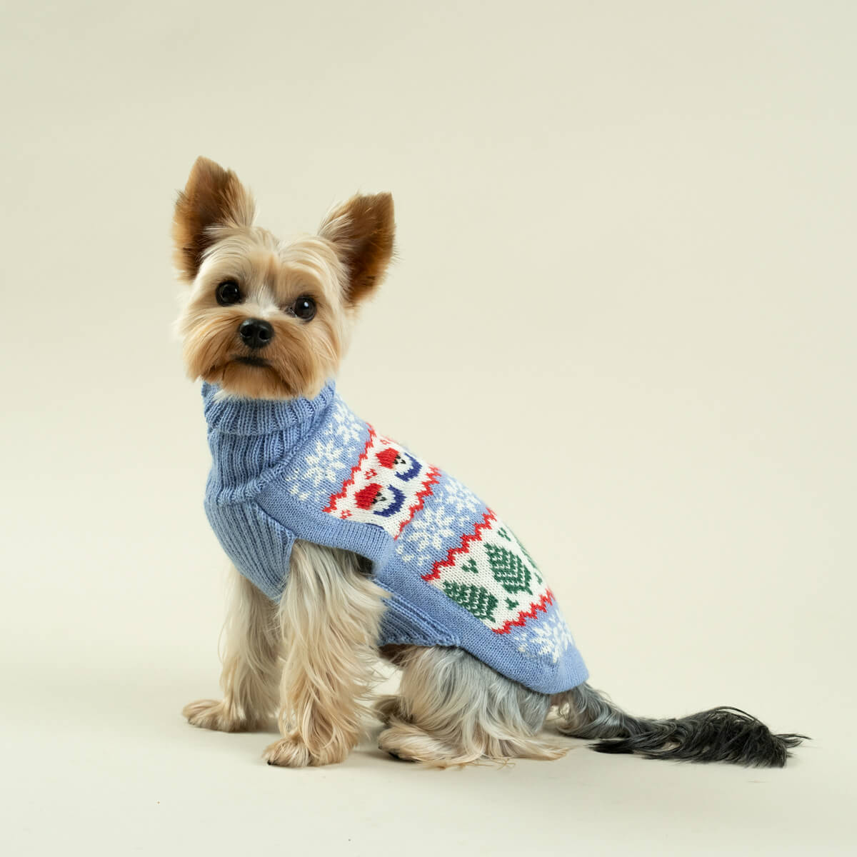 Alqo Wasi Hunde-Pullover Holiday Gnomes Light Blue