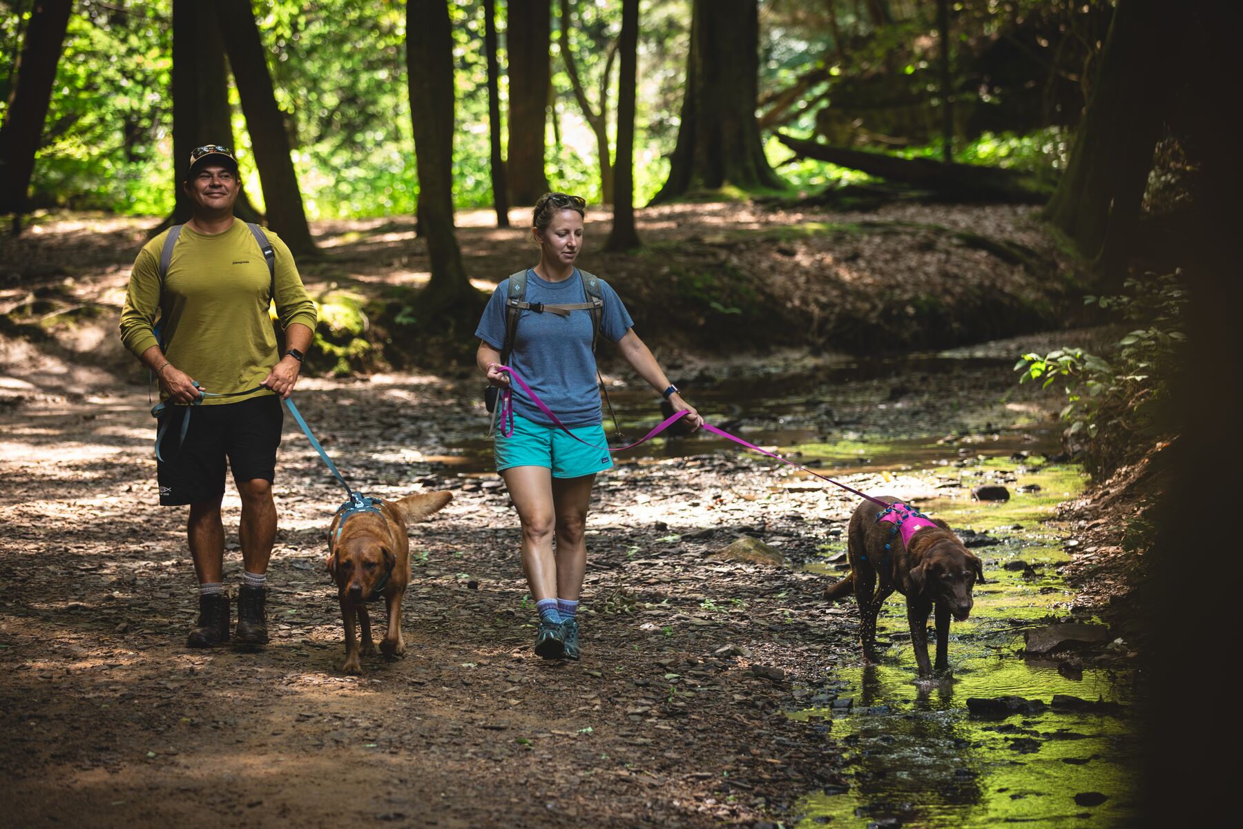 Ruffwear Flagline™ Harness Alpenglow Pink