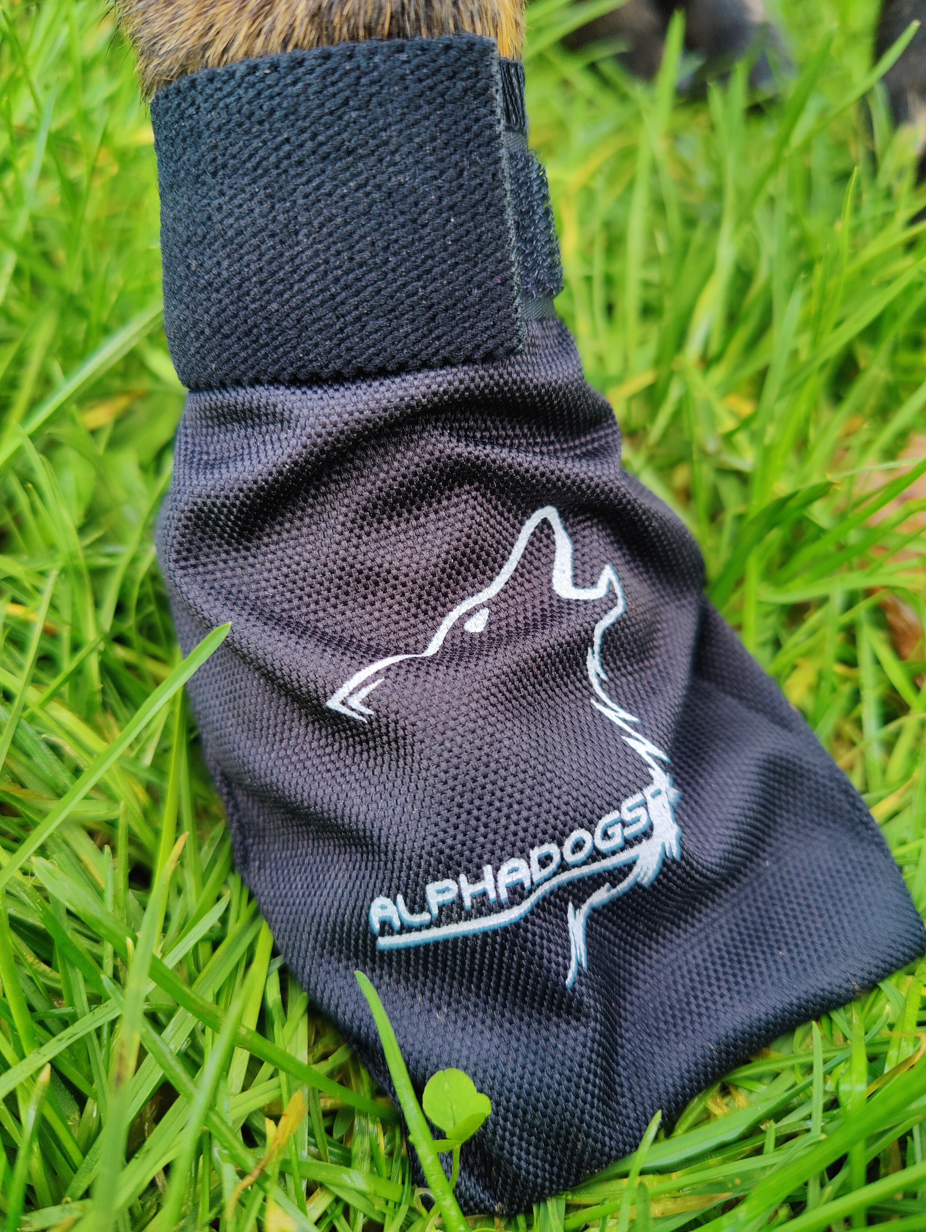 Alphadogsport HundeBootie (1 Stück)