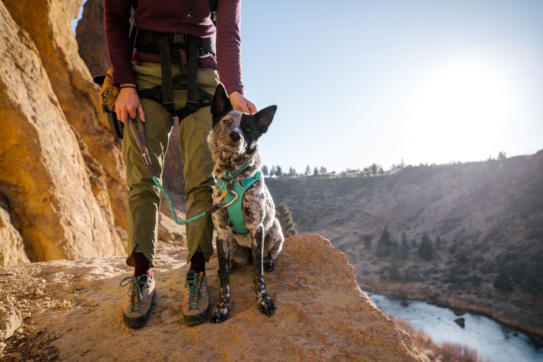 Ruffwear Knot-a-Collar™