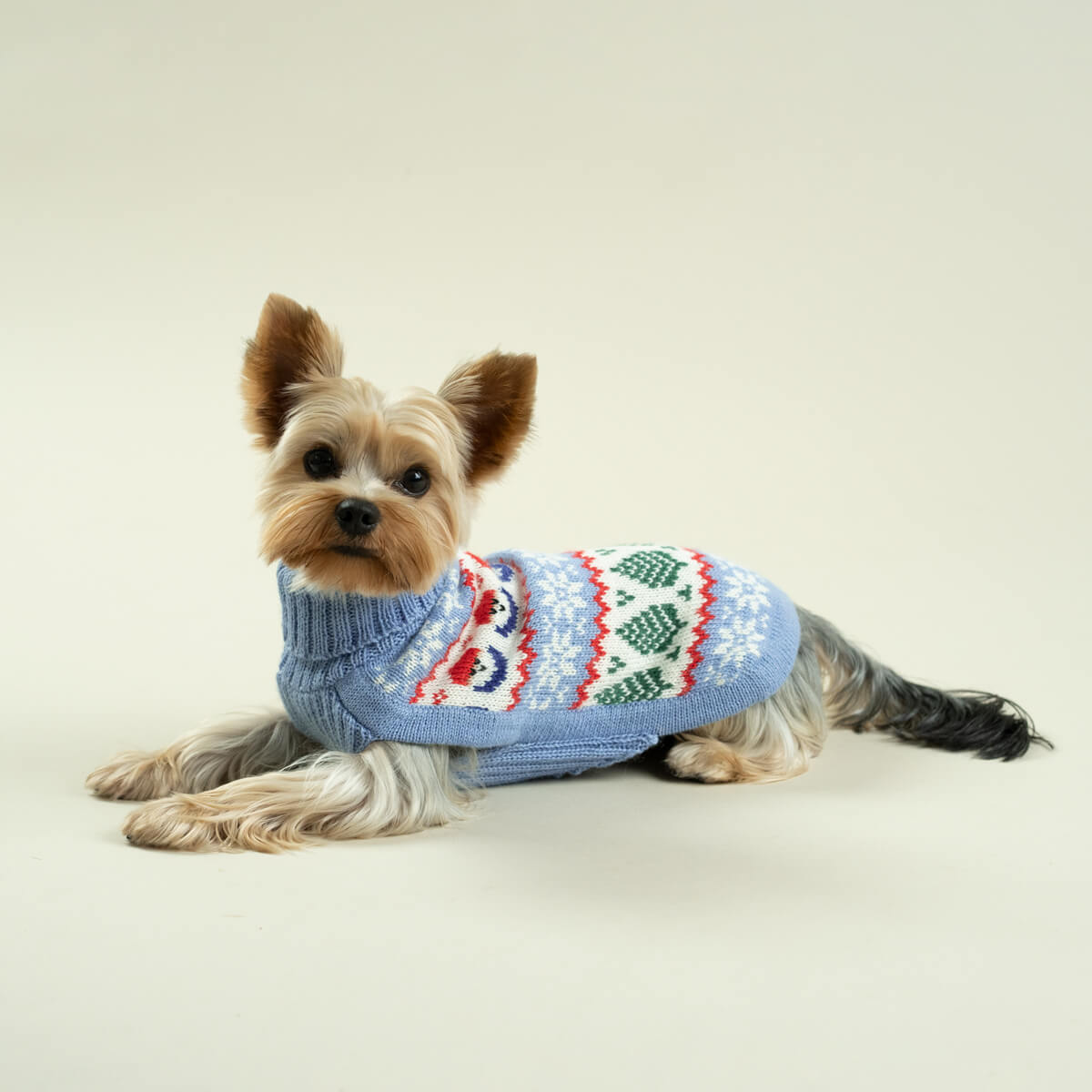 Alqo Wasi Hunde-Pullover Holiday Gnomes Light Blue