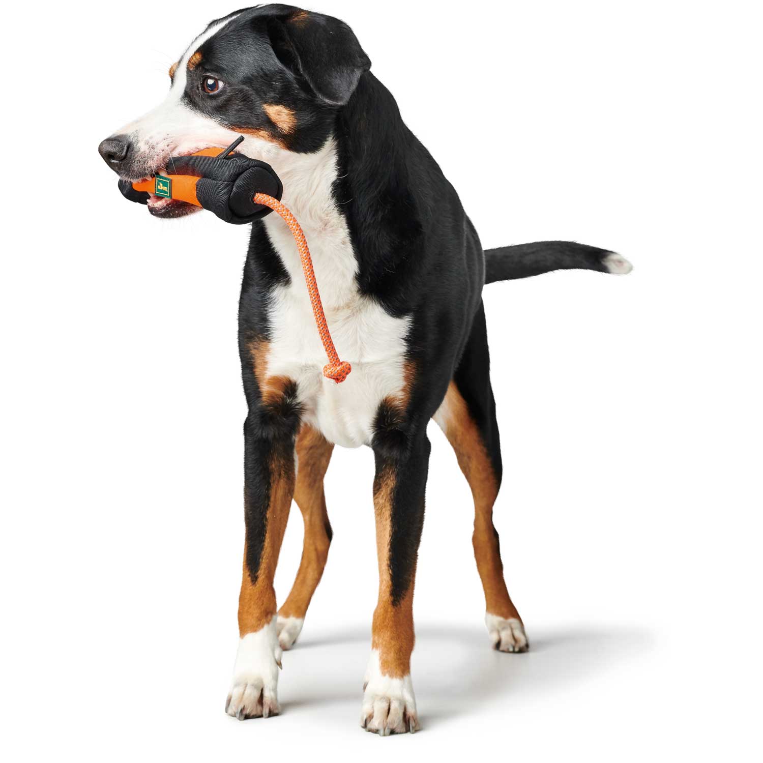 Hunter Snackdummy Trainer mit Seil orange/schwarz