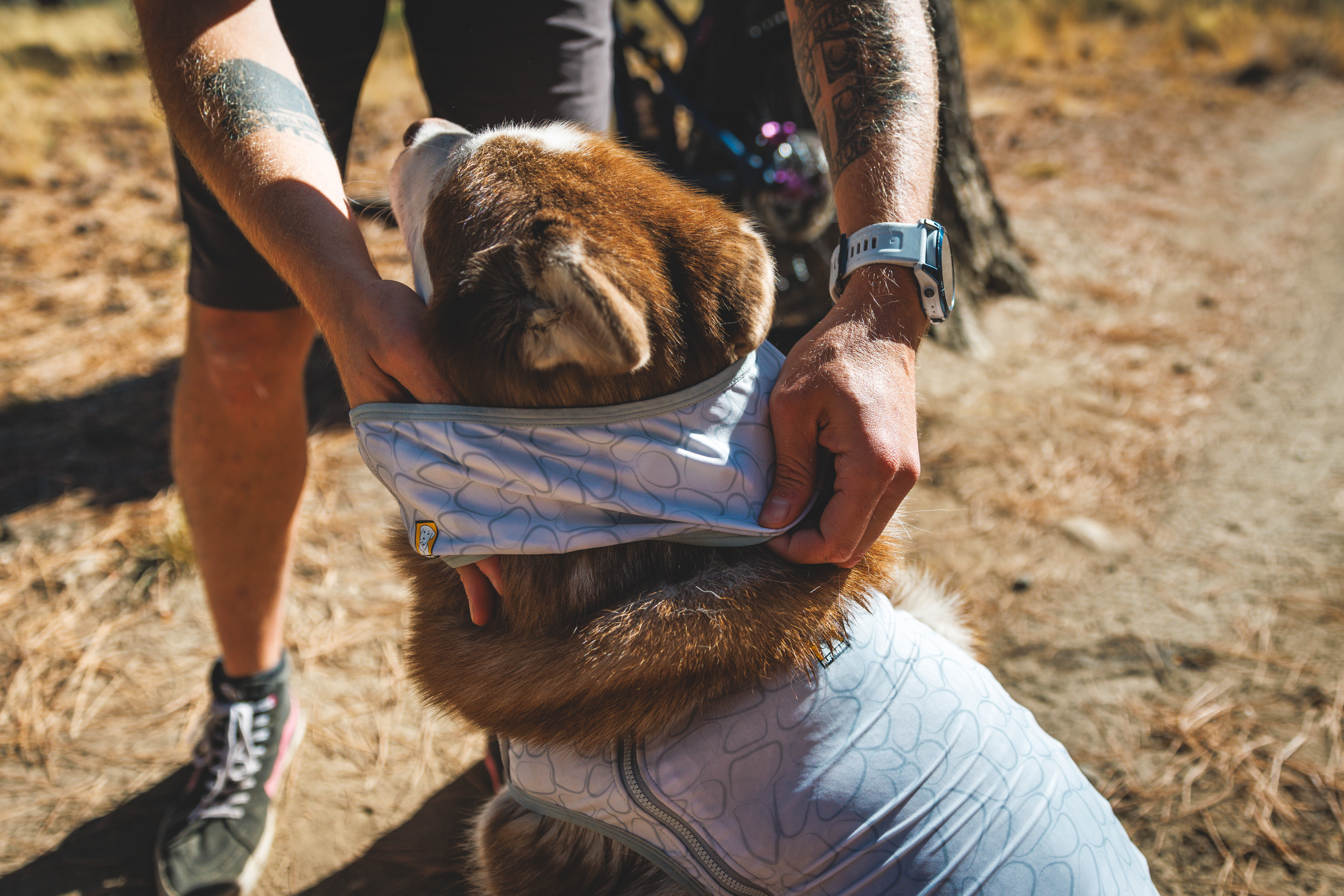 Ruffwear Swamp Cooler™ Neck Gaiter