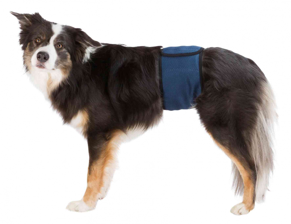 Trixie Rüdenbinde, Mesh-Material, dunkelblau