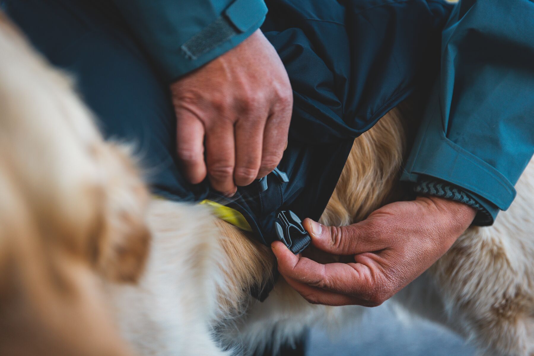 Ruffwear Quinzee™ Insulated Jacket Obsidian Black