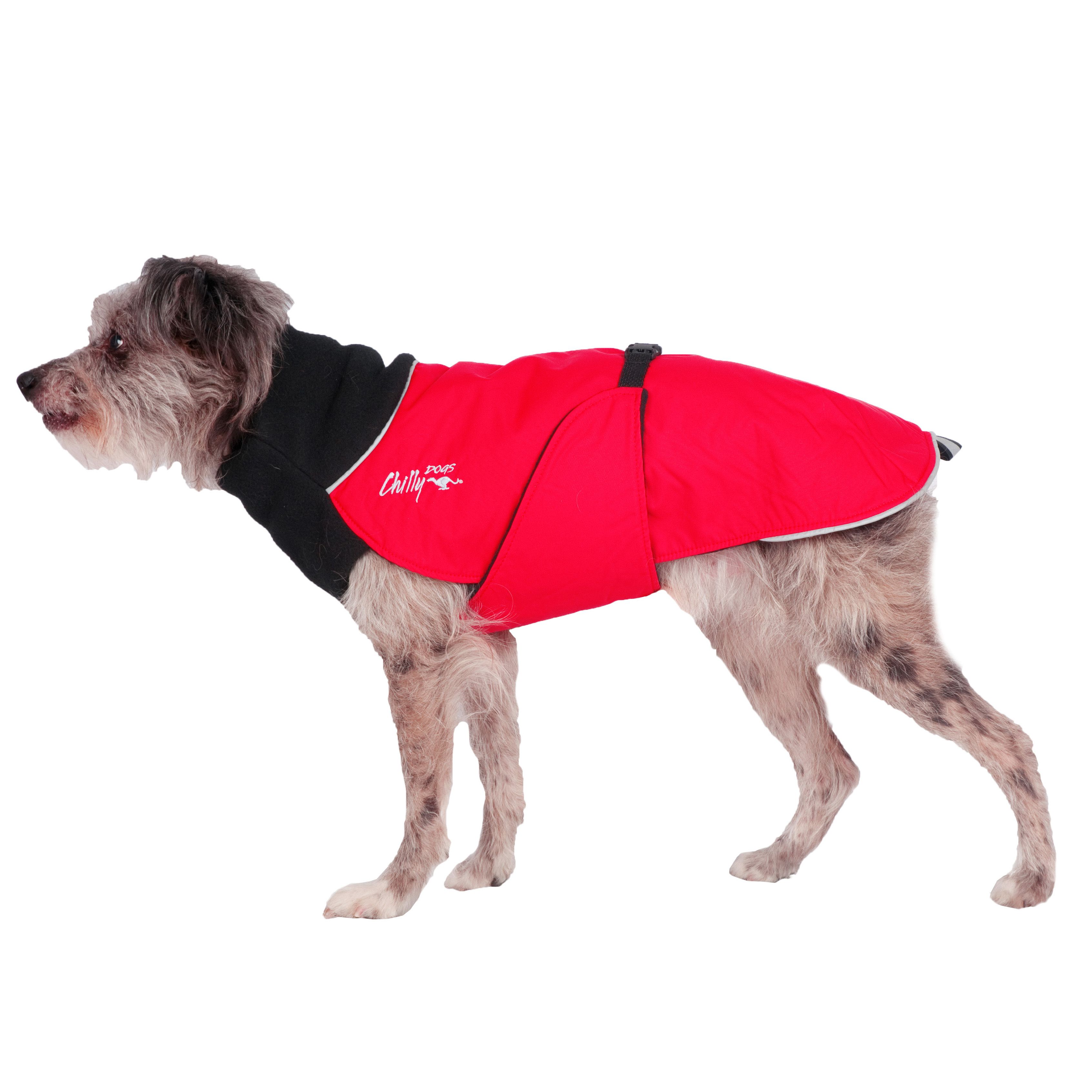 Chilly Dogs Great White North STANDARD