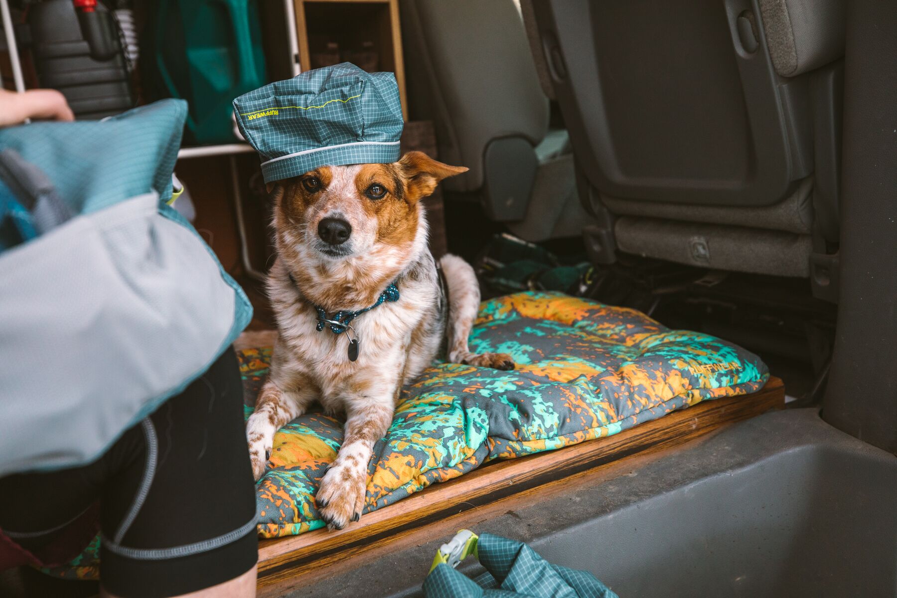 Ruffwear Knot-a-Collar™