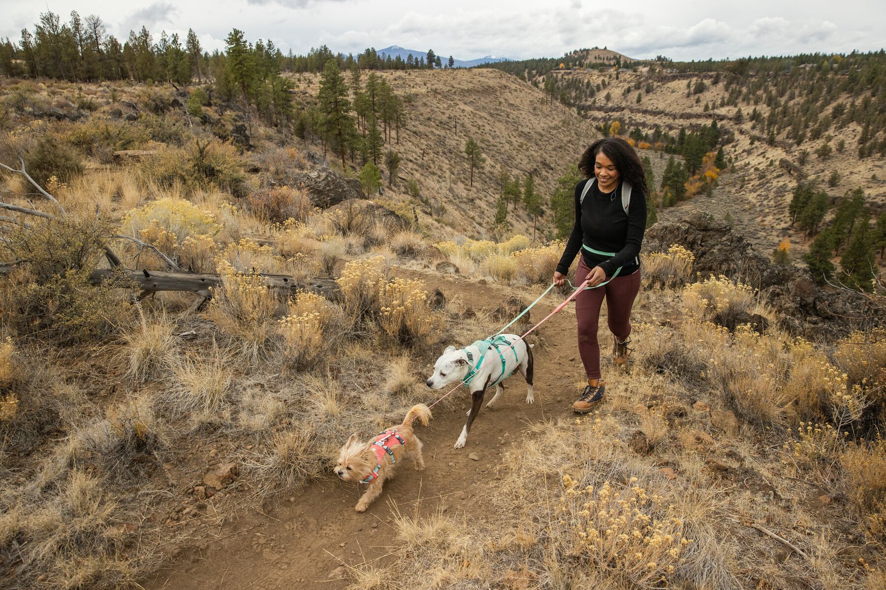 RuffWear Flagline™ Harness Salmon Pink