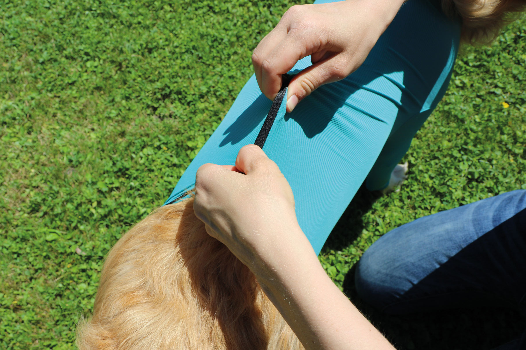 VetMedCare Dog Body mit 4 Beinen und Zipper