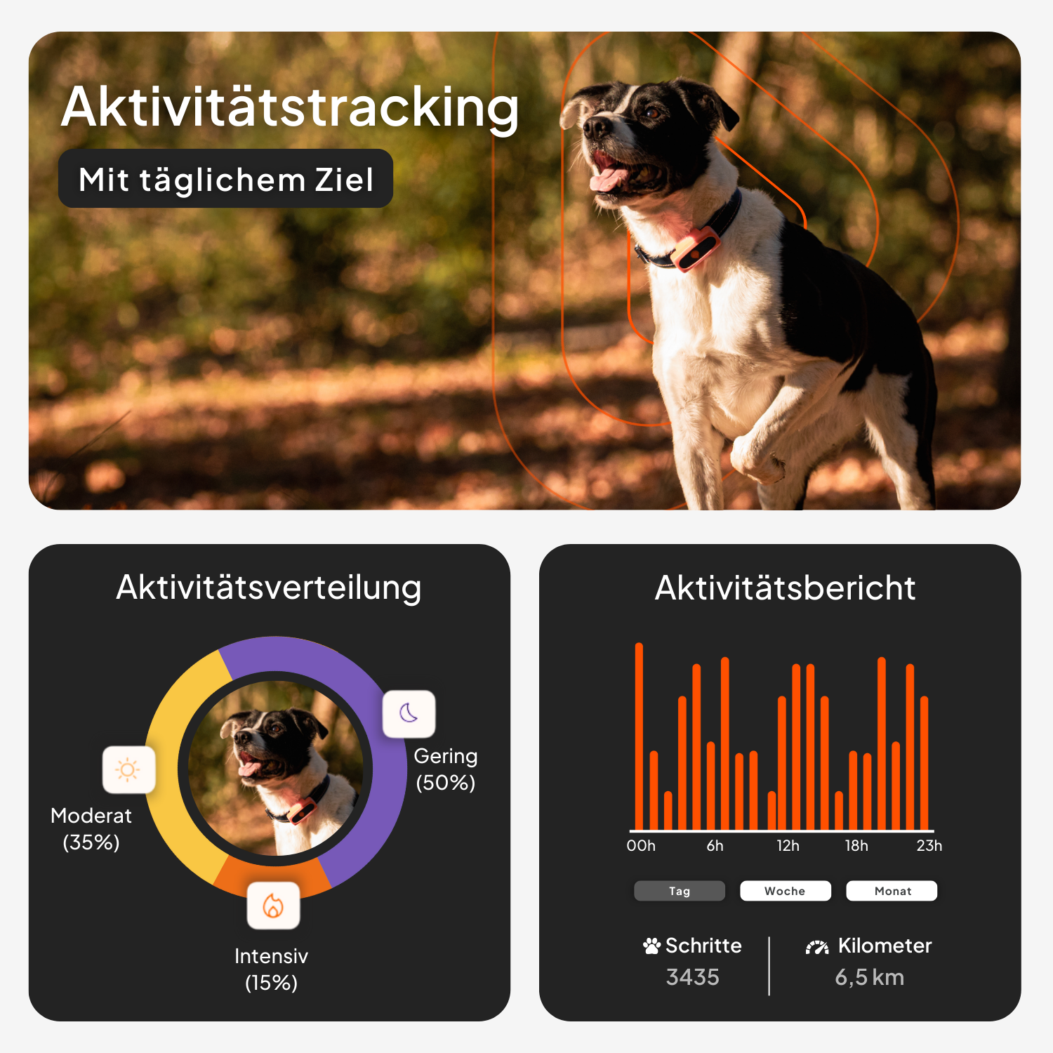Weenect GPS-Tracker XS Dogs