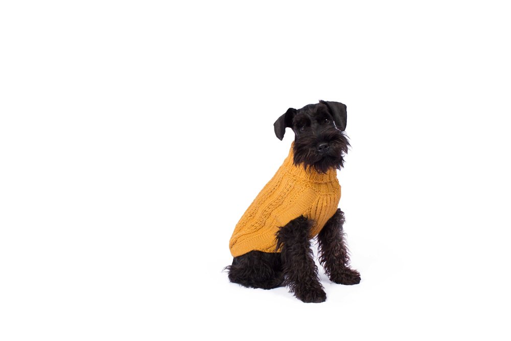 Alqo Wasi Hunde-Pullover Bohemian Cable Knit - Mustard