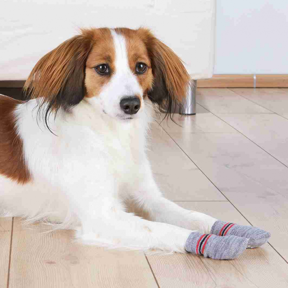 Trixie Hundesocken, Anti-Rutsch