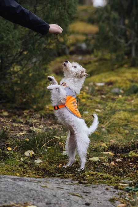 Non-stop dogwear Reflective Vest