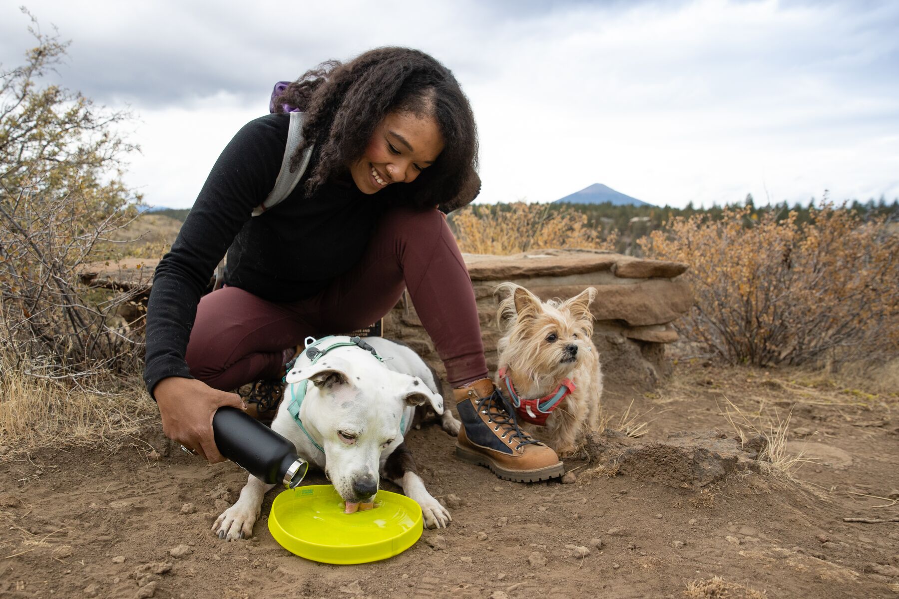 RuffWear Flagline™ Harness Salmon Pink