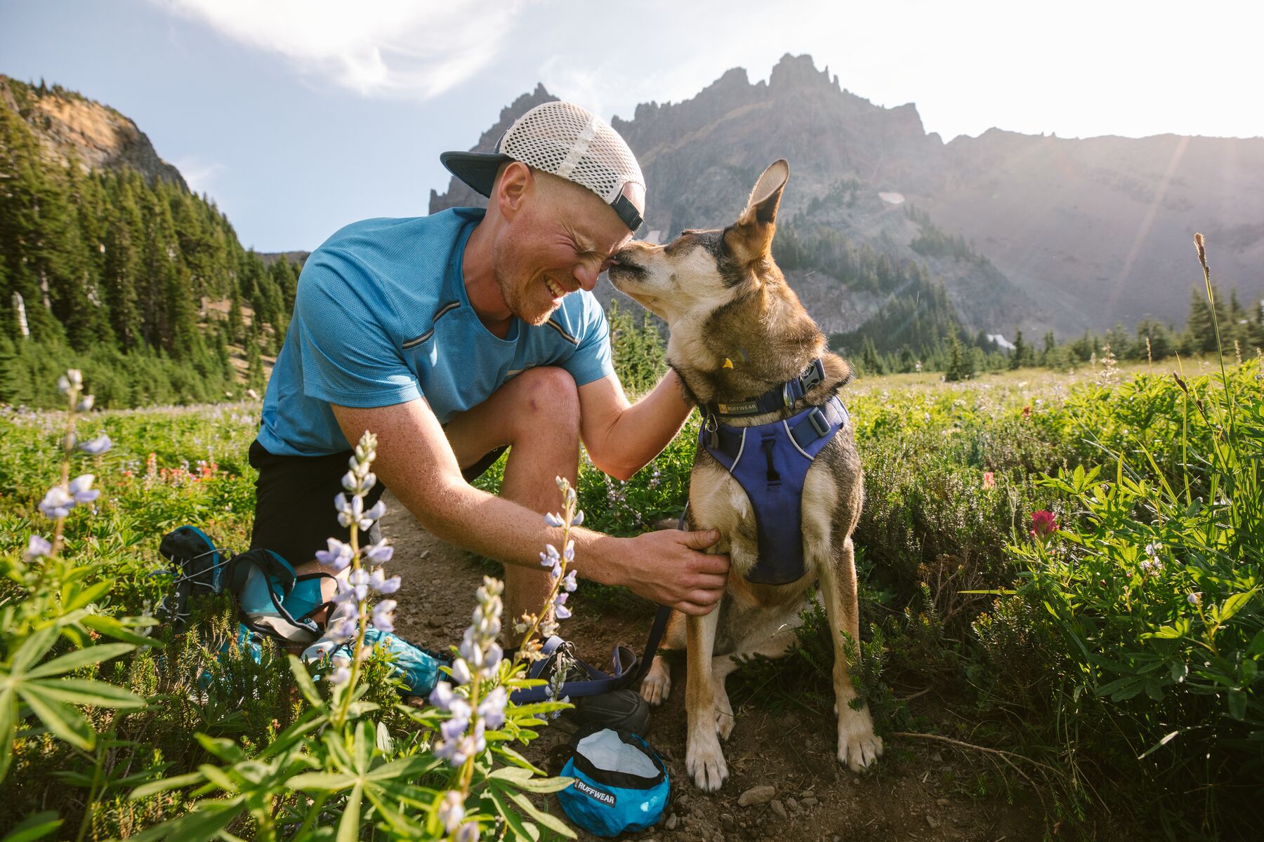 Ruffwear Front Range Harness Huckleberry Blue
