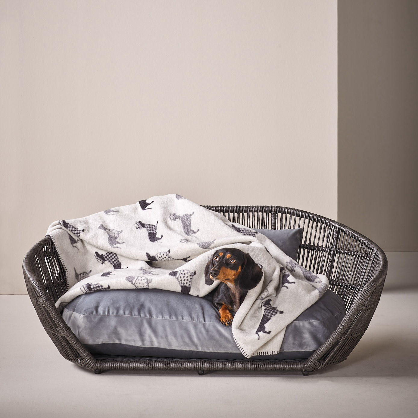 Laboni Kuscheldecke DACKEL