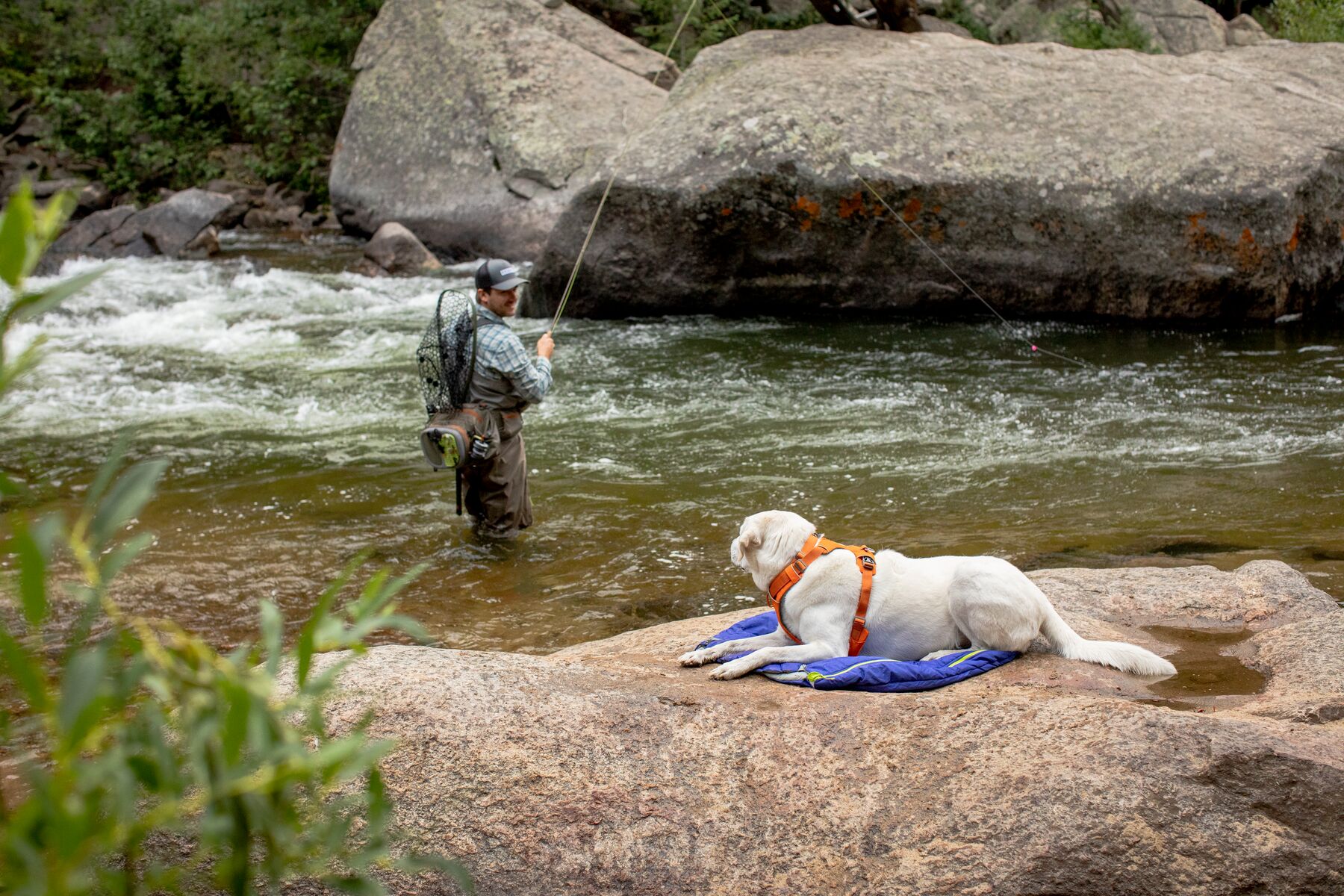 Ruffwear Highlands Sleeping Bag Huckleberry Blue