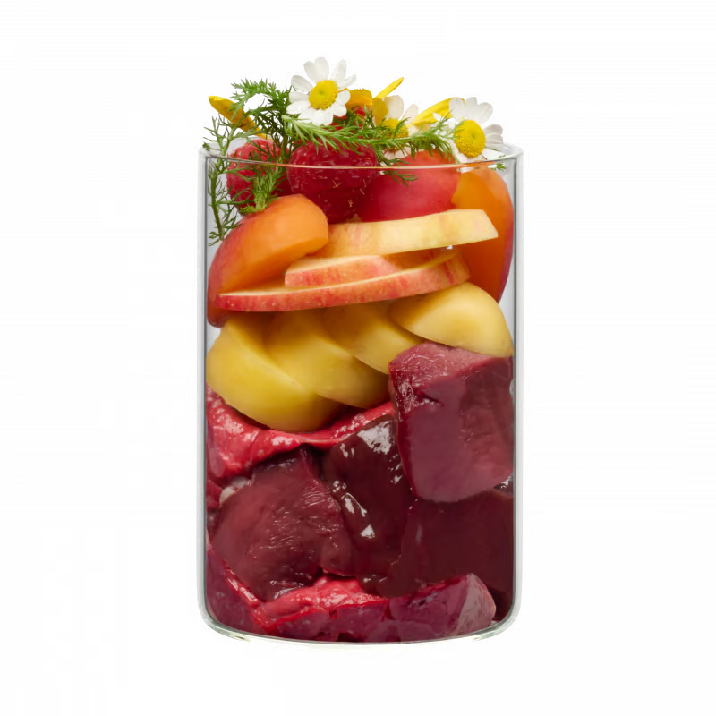 Terra Canis Menü Floralis 400g