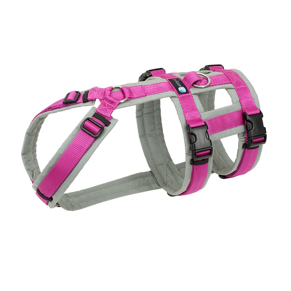 annyx Geschirr Safety grau / pink