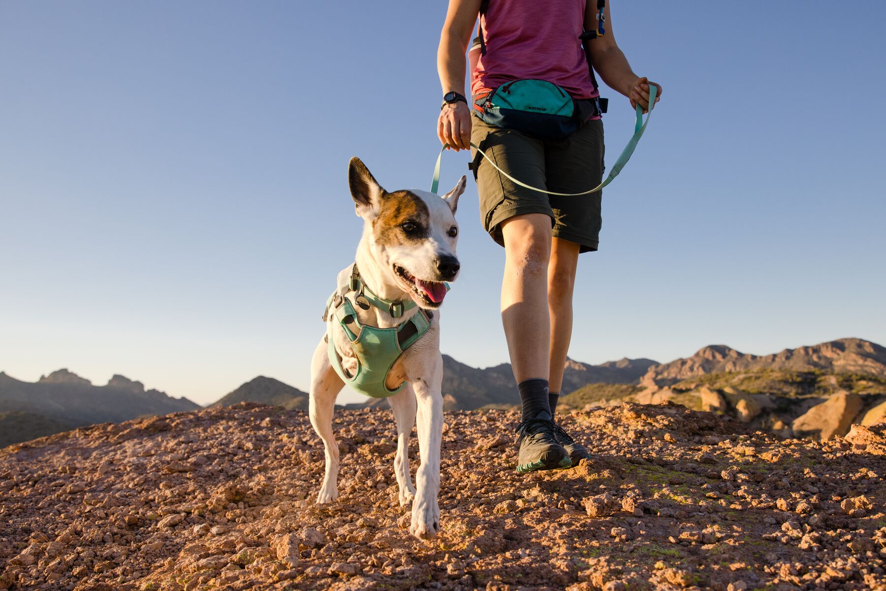 RuffWear Swamp Cooler™ Harness Sage Green