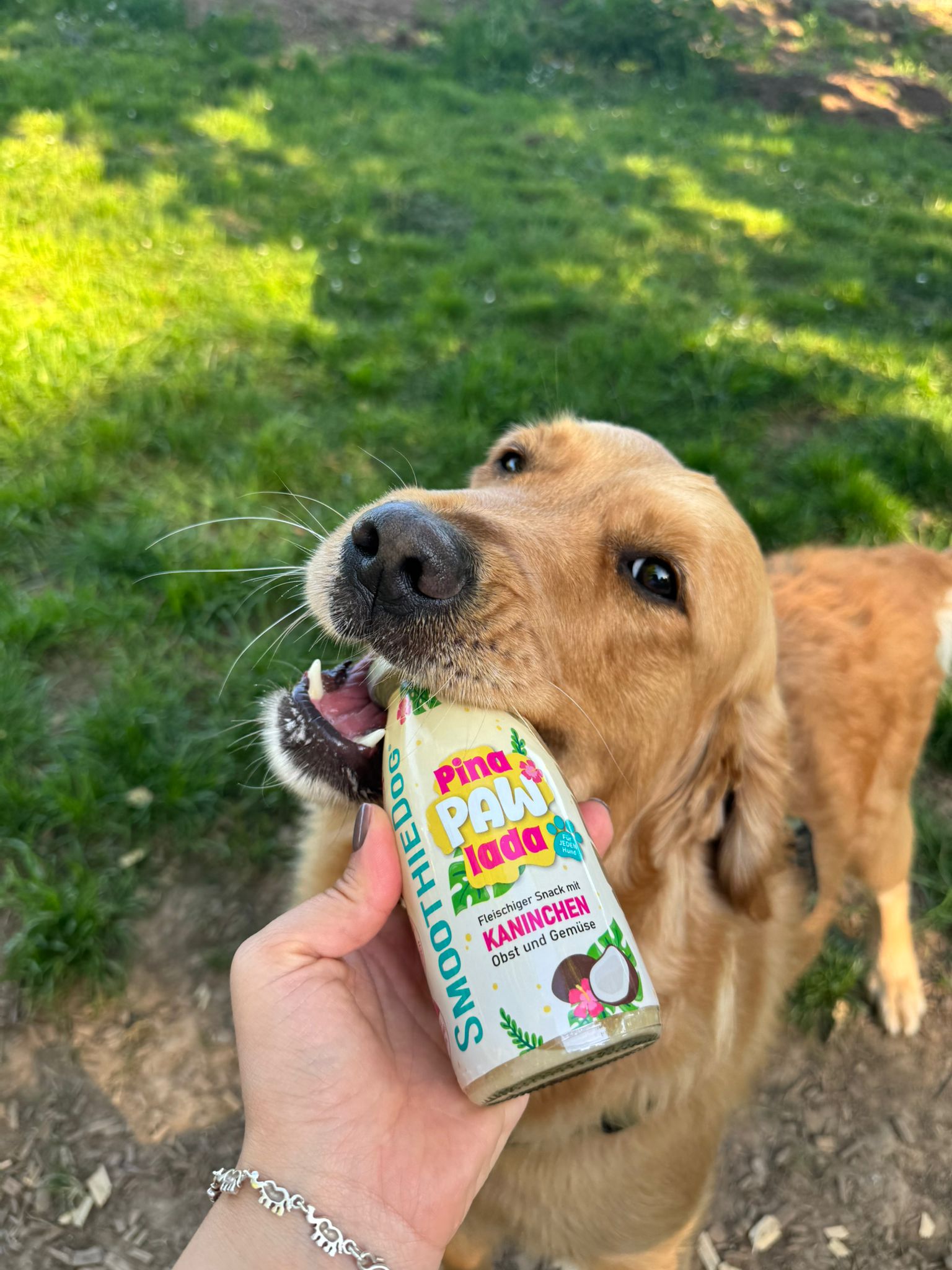 SmoothieDog Summer-Edition PinaPawLada 250ml (Limited Edition 2025)