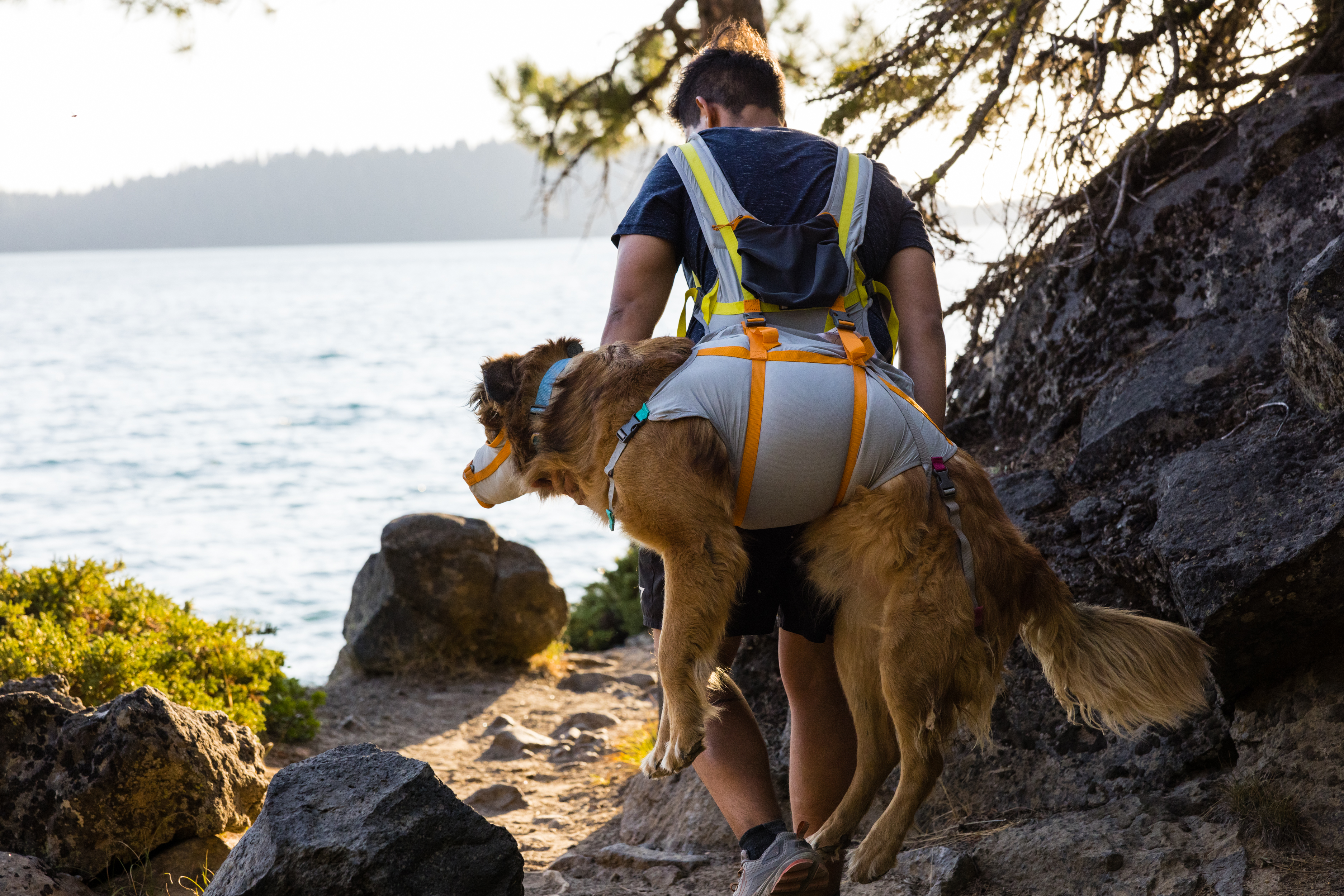Ruffwear BackTrak™ Dog Evacuation Kit Cloudburst Gray Ruffwear BackTrak™ Dog Evacuation Kit Cloudburst Gray