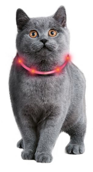 Karlie Visio Light Led Schlauchhalsband für Katzen