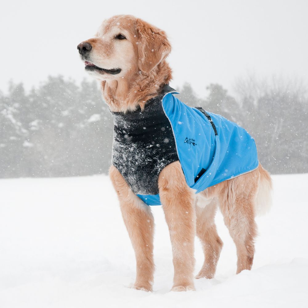 Chilly Dogs Harbour Slicker STANDARD