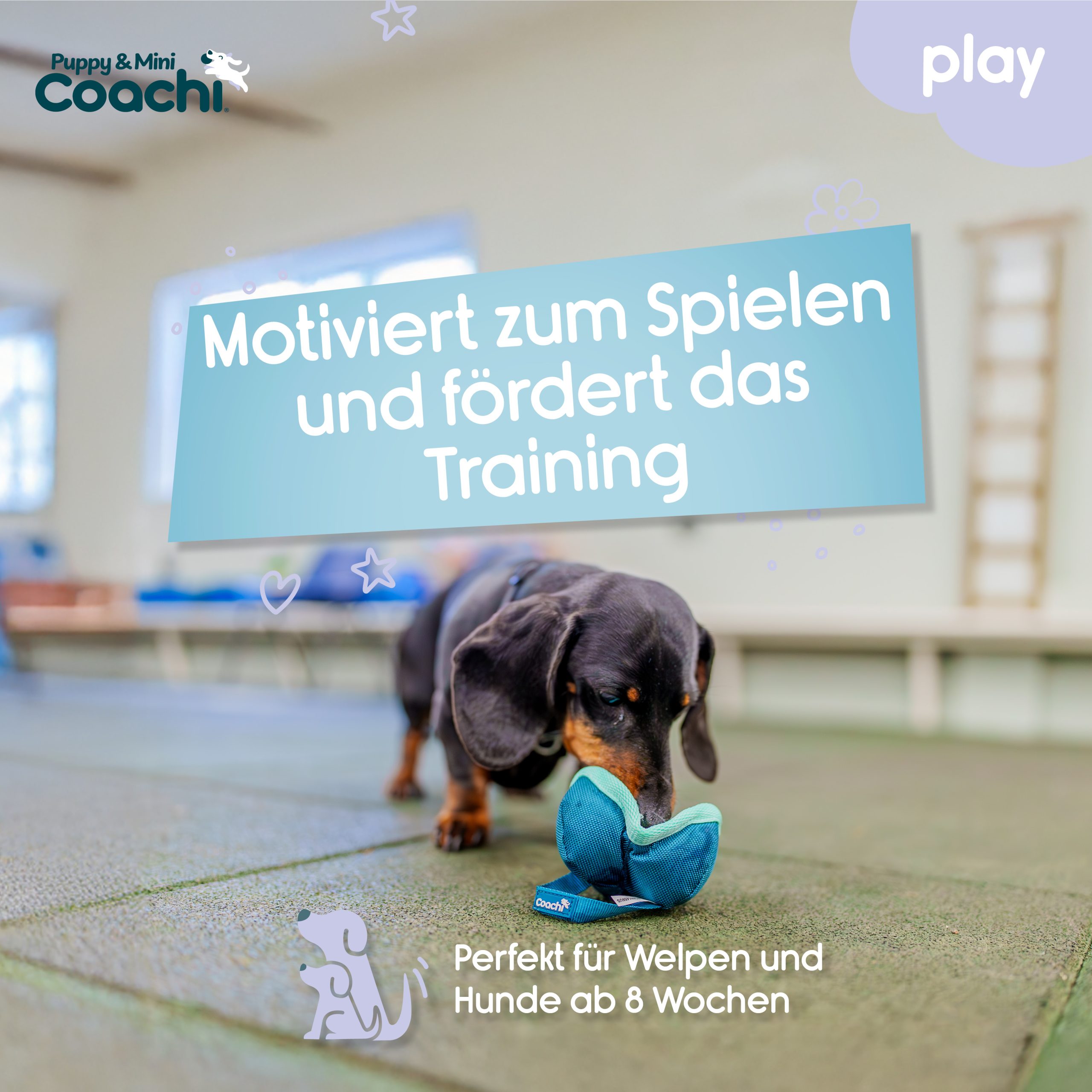 CoA Coachi Chase & Treat Puppy & Mini teal/mint