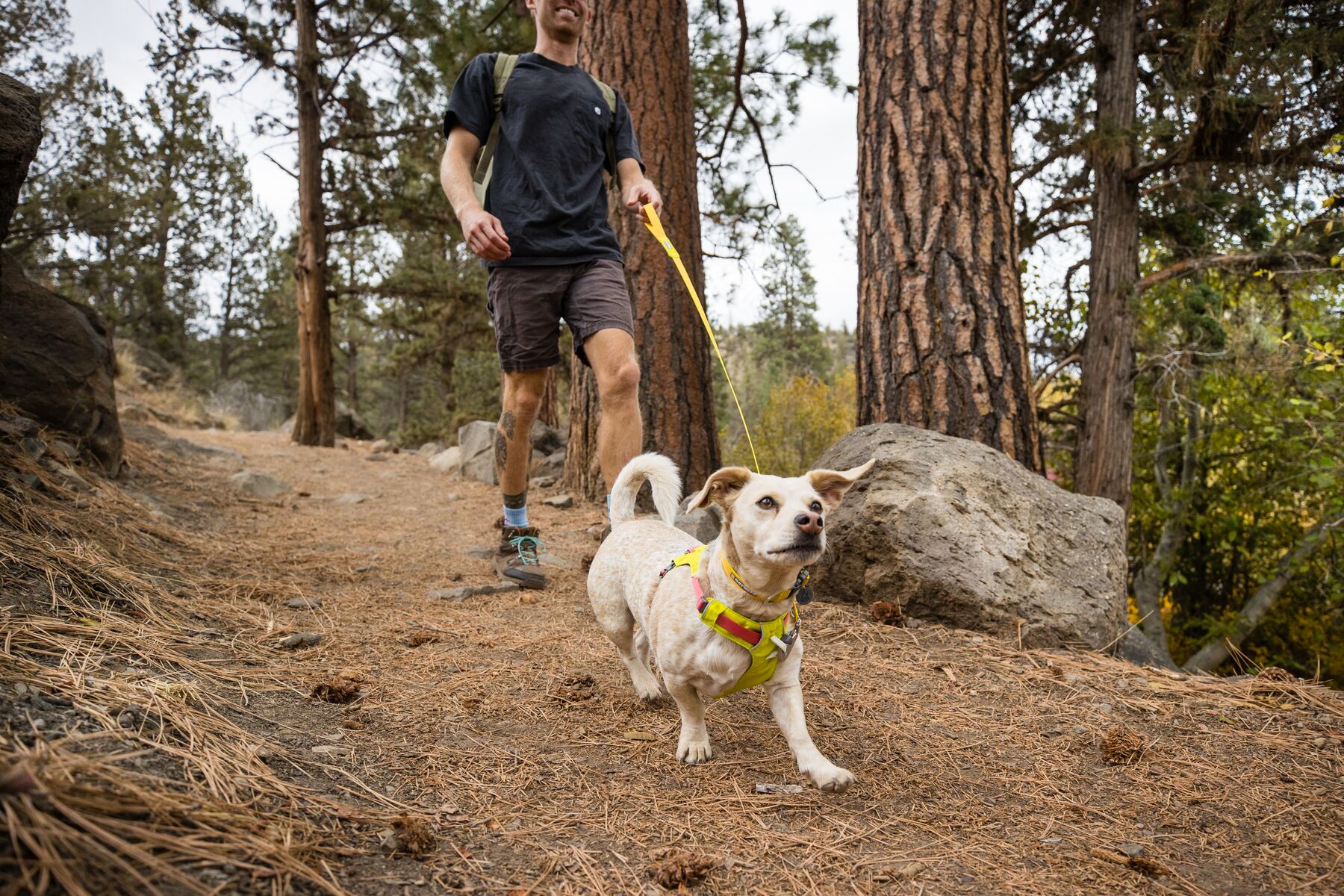 RuffWear Hi & Light™ Harness Lichen Green RuffWear Hi & Light™ Harness Lichen Green