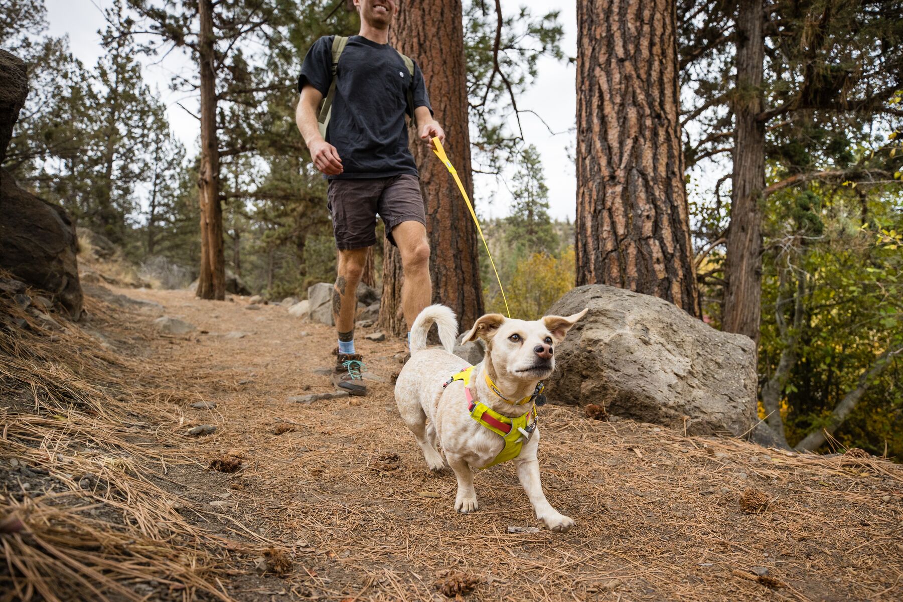 RuffWear Hi & Light™ Harness Lichen Green