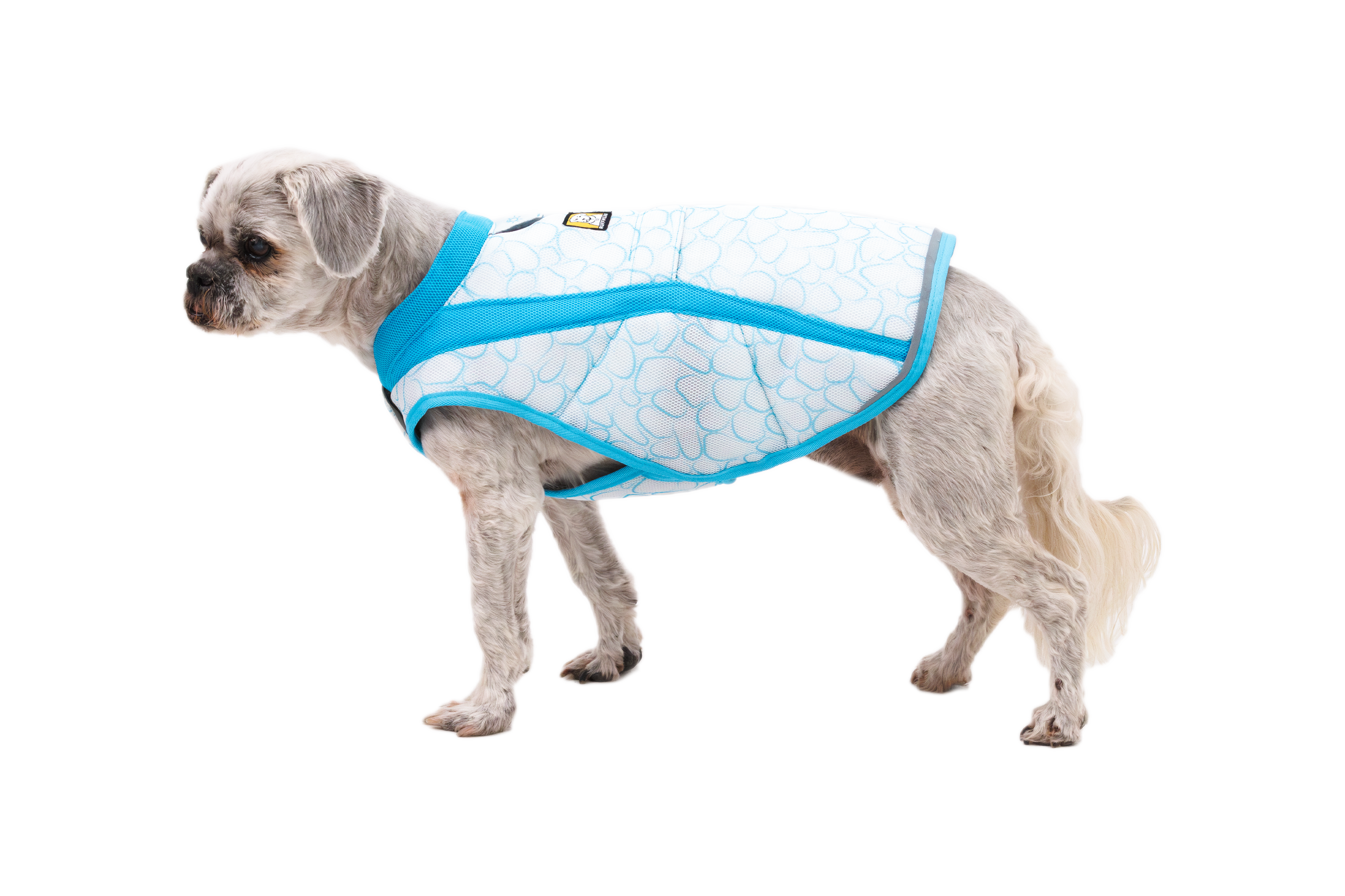 Ruffwear Swamp Cooler™ Vest Biolumin Blue
