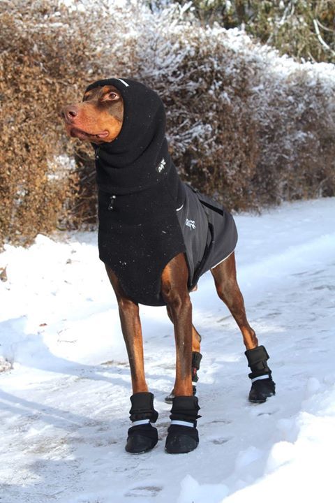 Chilly Dogs Head Muff Chilly Dogs Head Muff