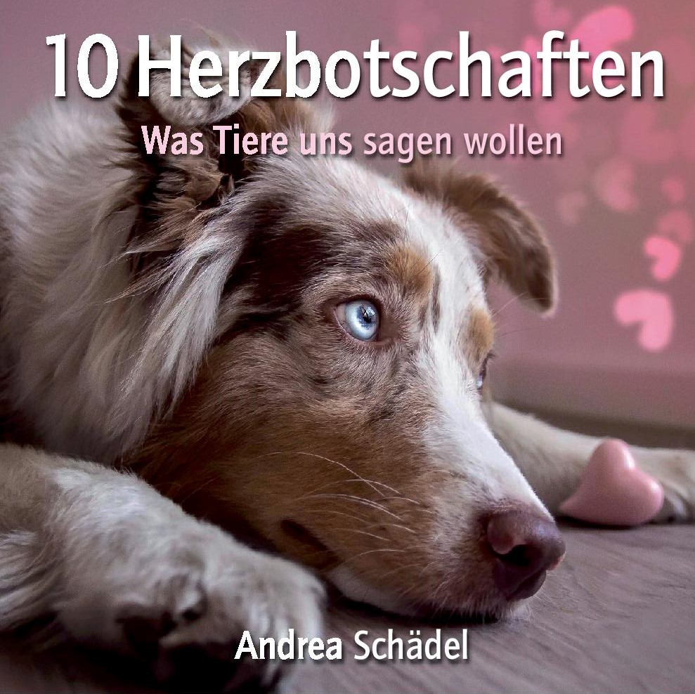 10 Herzbotschaften: Was Tiere uns sagen wollen [Andrea Schädel]