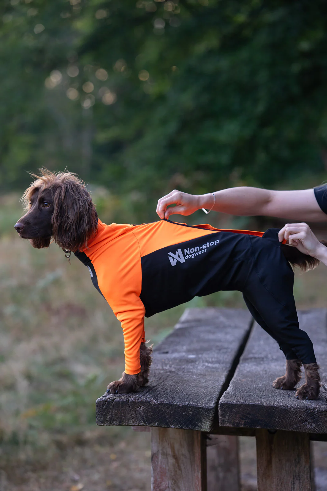 Non-stop dogwear Protector Suit orange/black