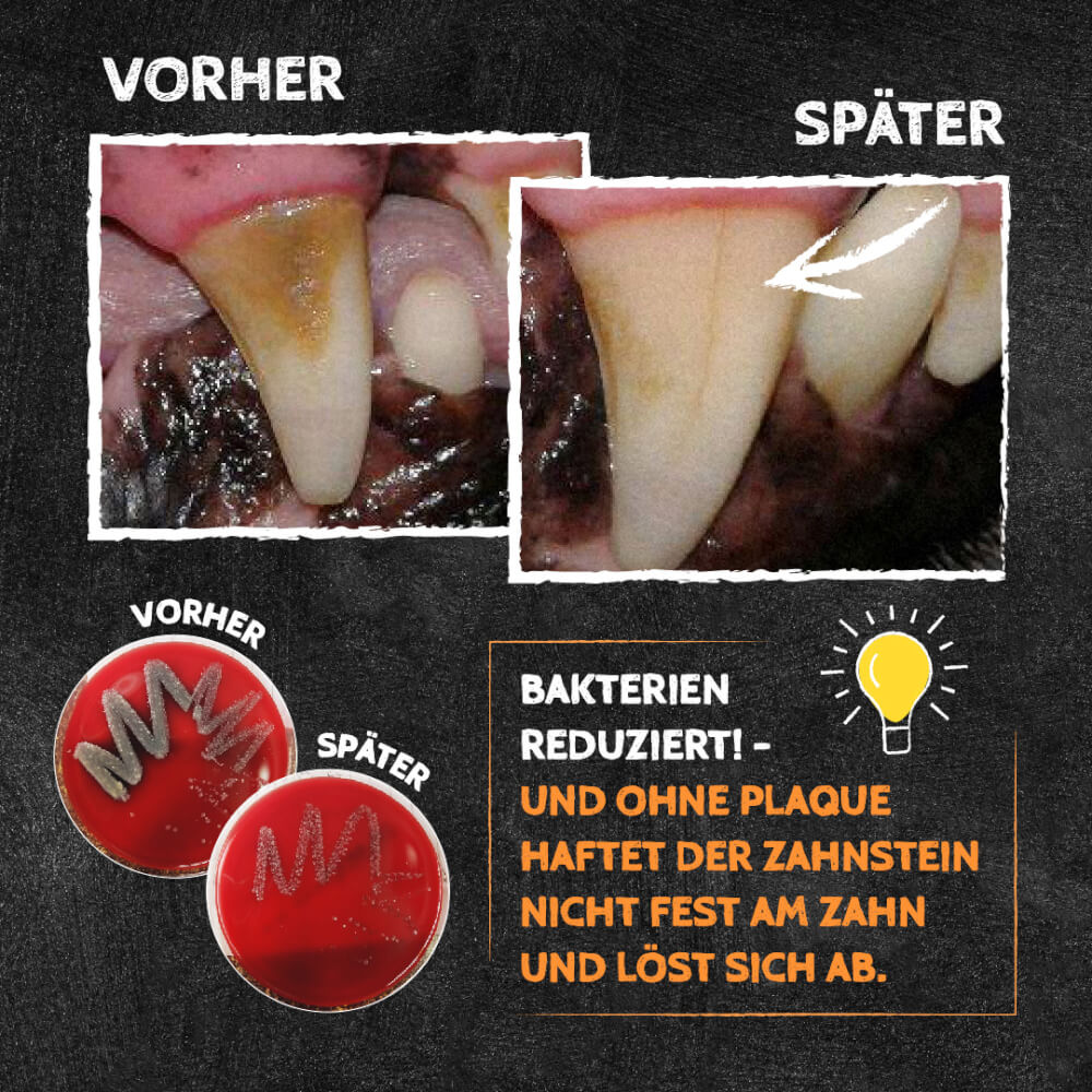 QChefs Zahnputzkohle HUND 80g