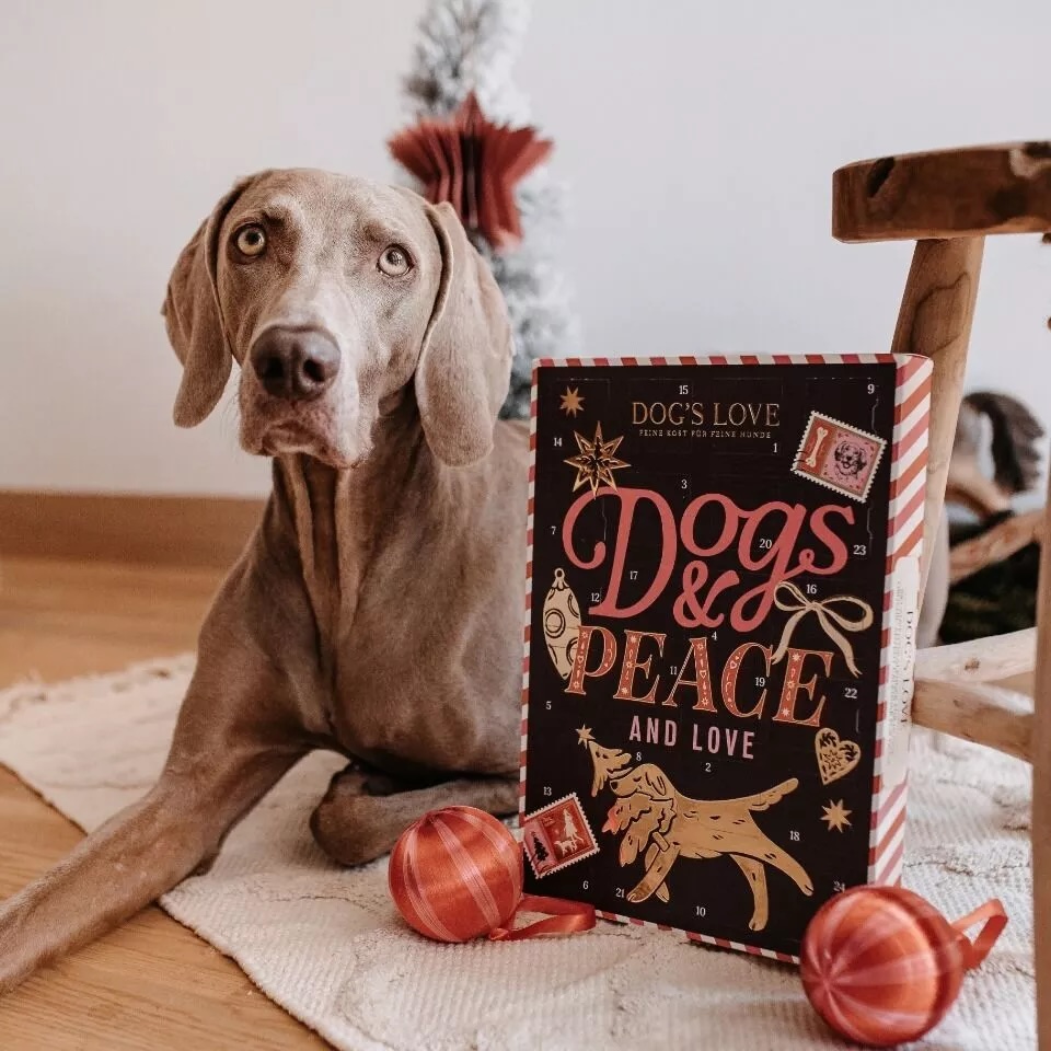 Dog's Love Bio Adventskalender für Hunde 2025 168g