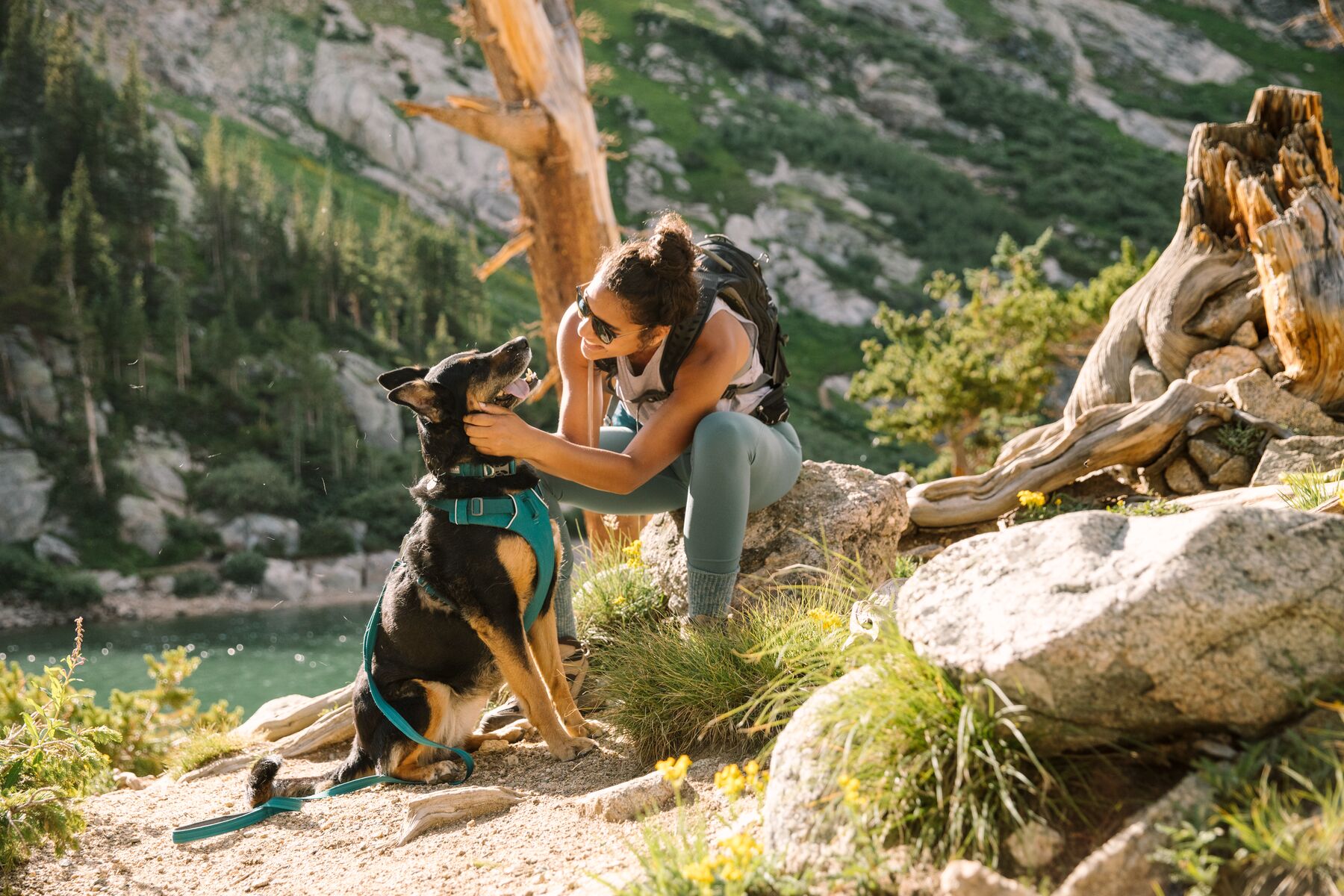 Ruffwear Front Range Harness Tumalo Teal Ruffwear Front Range Harness Tumalo Teal