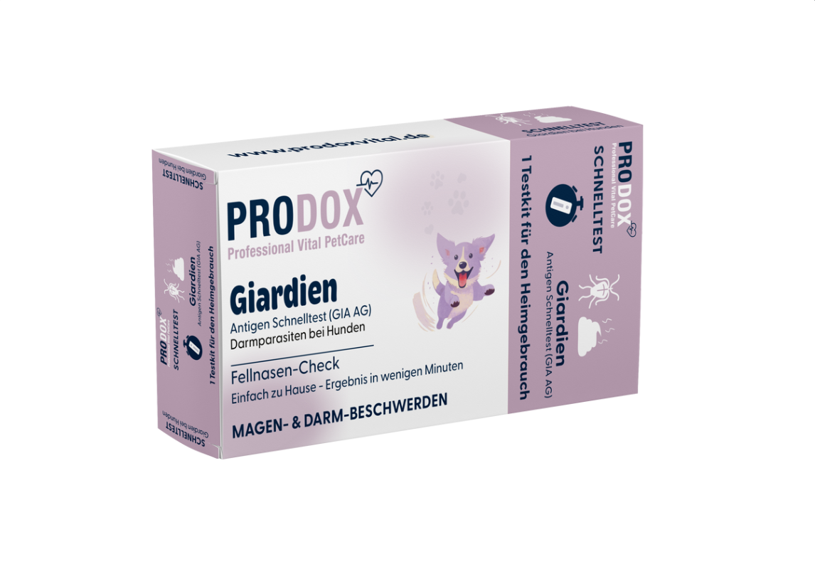 PRODOX Schnelltest