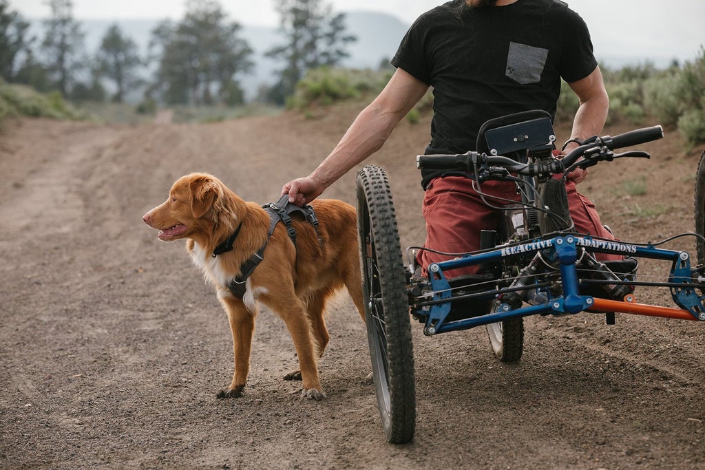 Ruffwear Flagline Harness Red Rock