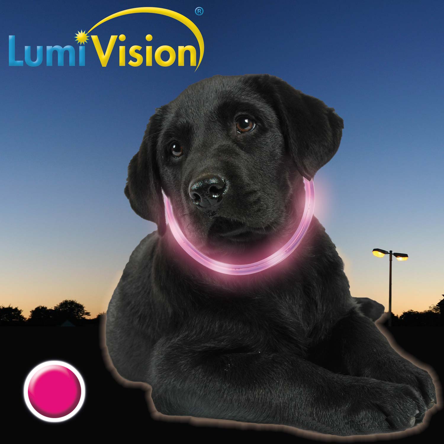 LumiVision Leuchthalsband pink