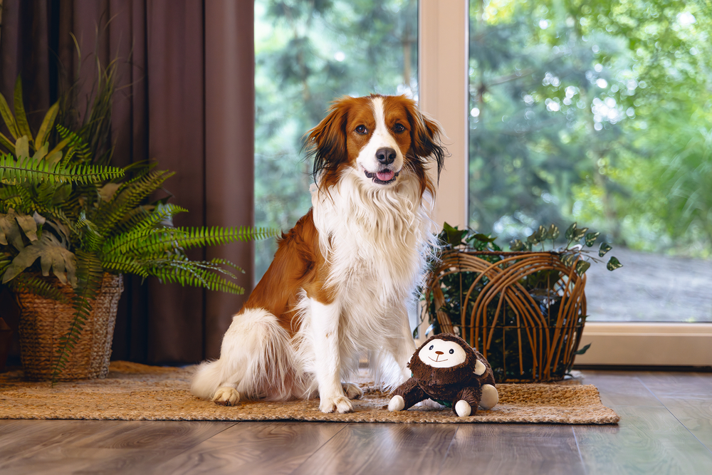 Beeztees Dschungel Affe Mats 44cm