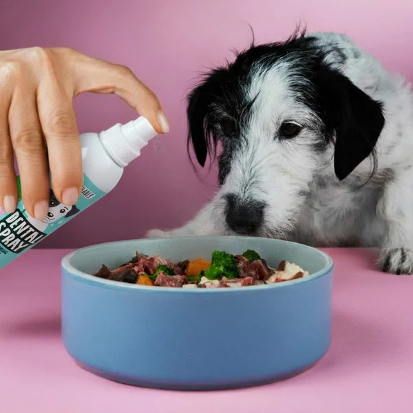 Tierliebhaber Dentalspray für Hunde mit Minze 50ml