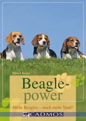 Beaglepower: Mehr Beagles - noch mehr Spaß!