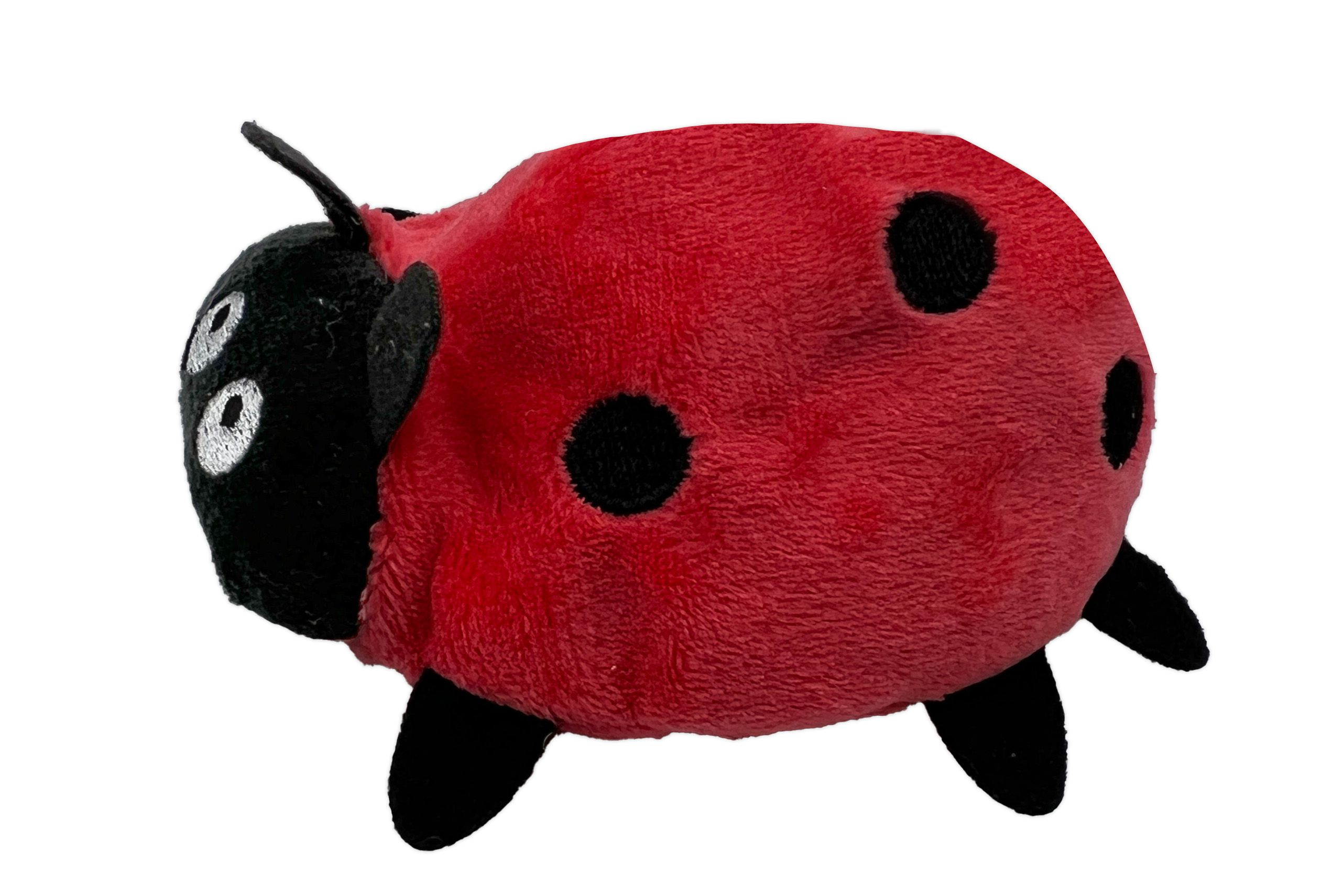 Aumüller Katzenspielzeug Marienkäfer Dotty