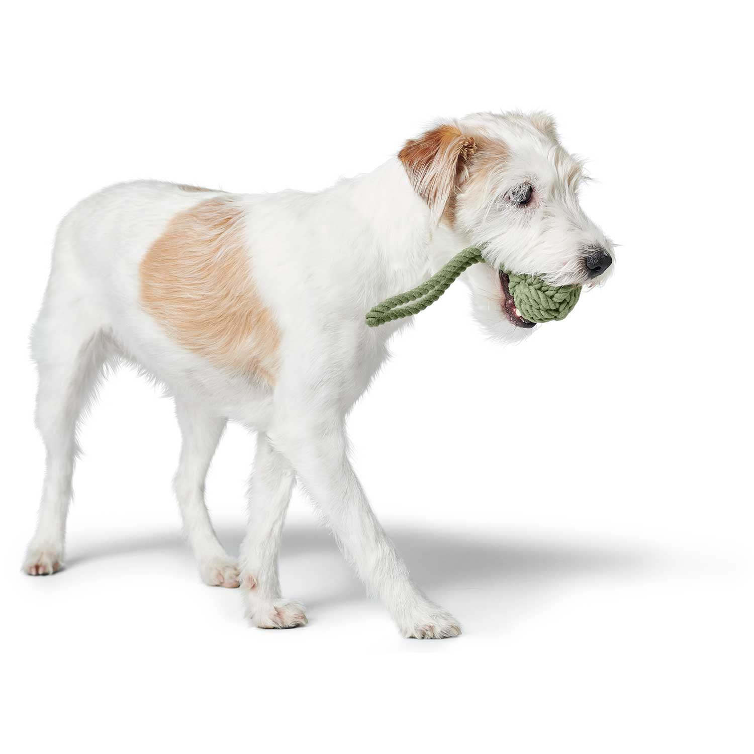 Hunter Hundespielzeug Ball mit Handschlaufe Inari lindgrün
