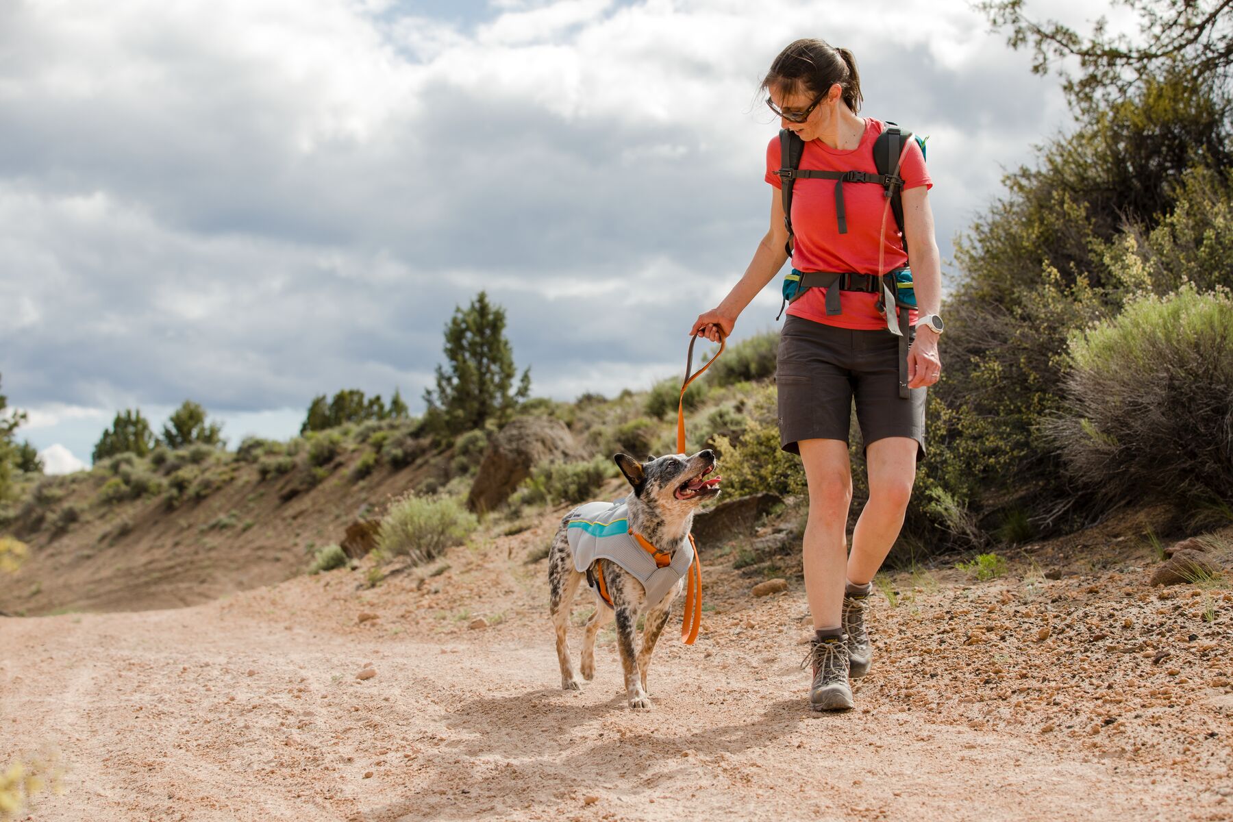 Ruffwear Swamp Cooler Cooling Vest Graphite Gray Ruffwear Swamp Cooler Cooling Vest Graphite Gray
